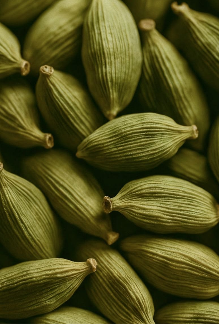 Cardamom