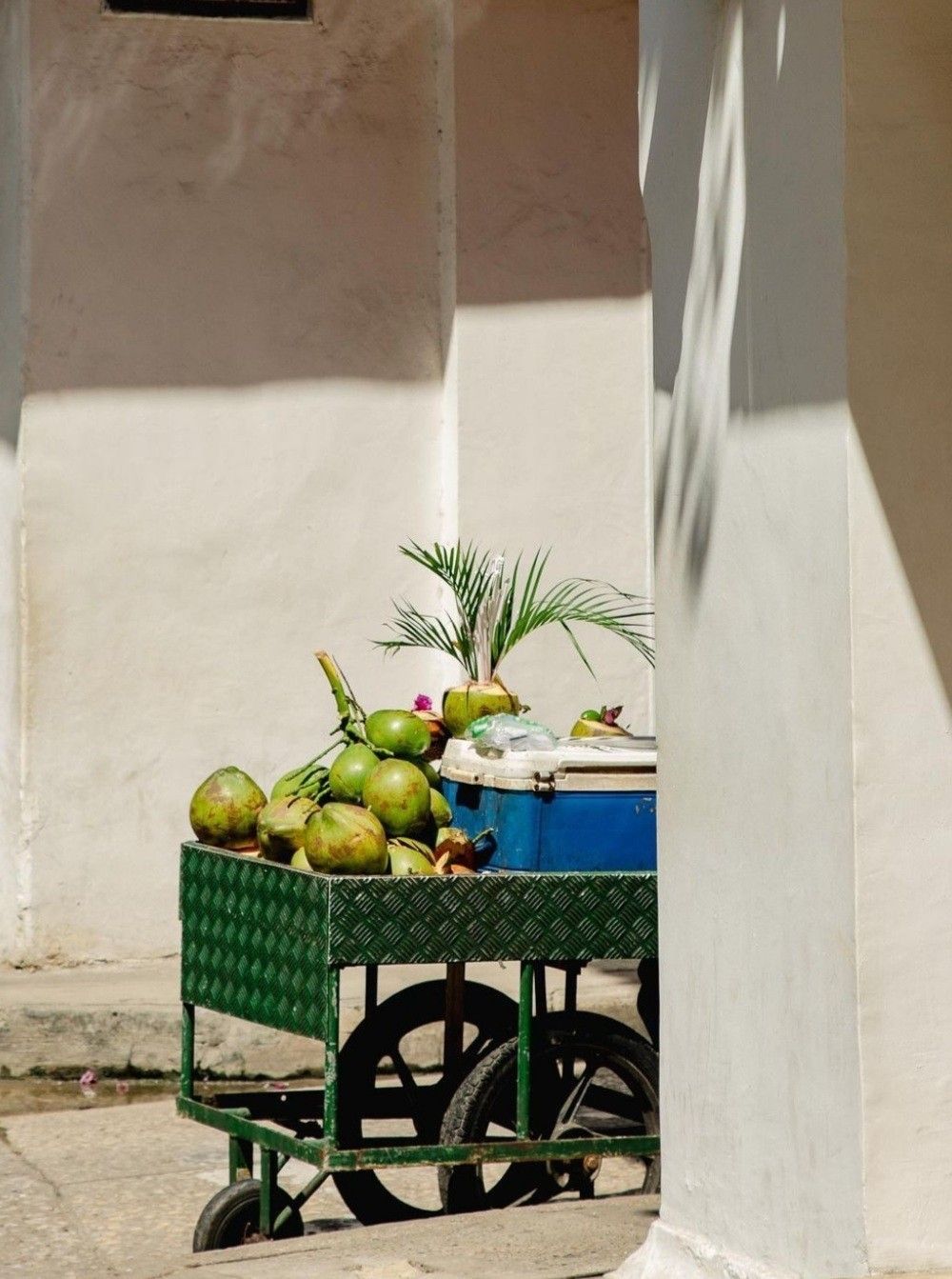 Coconut cart